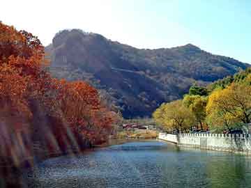 澳门二四六天天彩图库，百花养颜汤